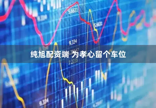纯旭配资端 为孝心留个车位