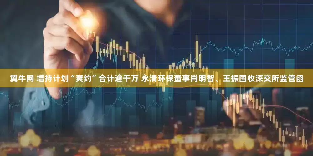 翼牛网 增持计划“爽约”合计逾千万 永清环保董事肖明智、王振国收深交所监管函