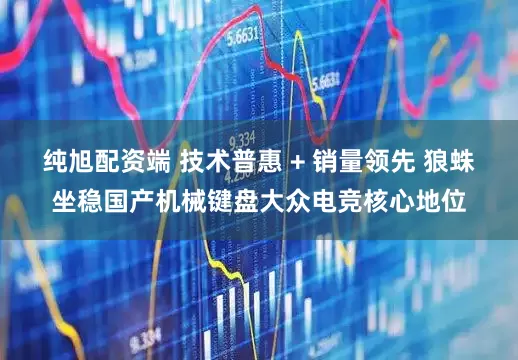 纯旭配资端 技术普惠 + 销量领先 狼蛛坐稳国产机械键盘大众电竞核心地位
